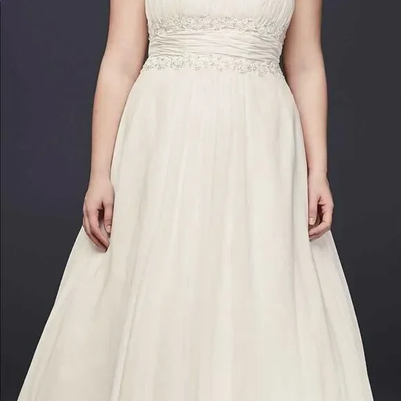 David’s Bridal Chiffon Beaded Empire Plus Size
Wedding Dress White size: 16W - Picture 2 of 14